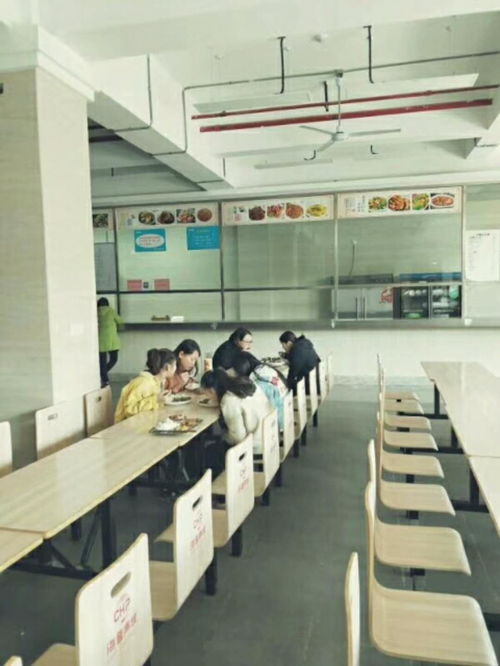 包食宿招移動客服 信息技術(shù)咨詢服務(wù)，打造專業(yè)團隊共促發(fā)展